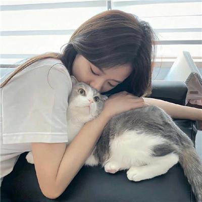藩篱